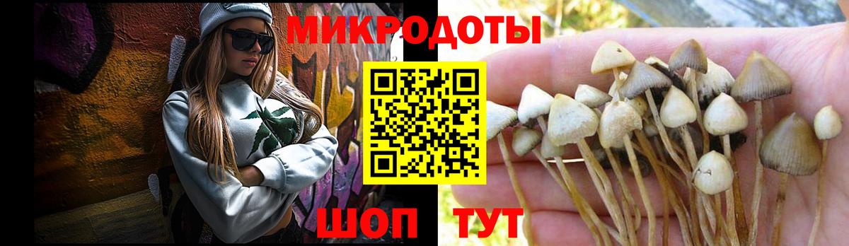 Галлюциногенные грибы мицелий Ликино-Дулёво